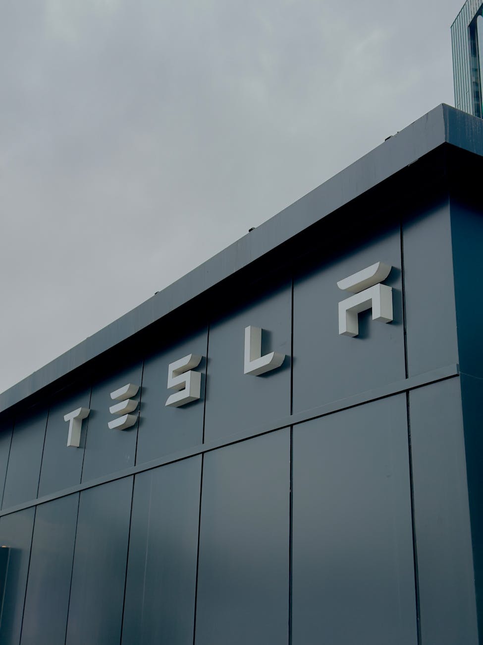 Tesla Faces Investor Divide as Stock Slides
